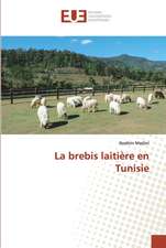 La brebis laitière en Tunisie