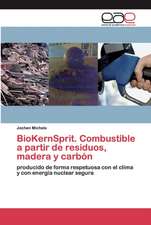 BioKernSprit. Combustible a partir de residuos, madera y carbón