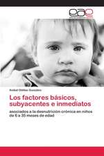 Los factores básicos, subyacentes e inmediatos