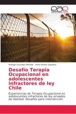 Desafío Terapia Ocupacional en adolescentes infractores de ley Chile