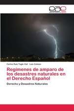 Regímenes de amparo de los desastres naturales en el Derecho Español