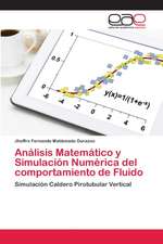 Análisis Matemático y Simulación Numérica del comportamiento de Fluido