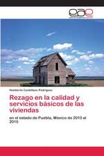 Rezago en la calidad y servicios básicos de las viviendas