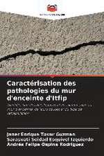 Caractérisation des pathologies du mur d'enceinte d'Itfip