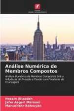 Análise Numérica de Membros Compostos