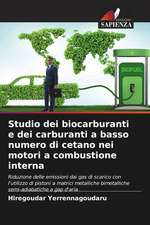 Studio dei biocarburanti e dei carburanti a basso numero di cetano nei motori a combustione interna