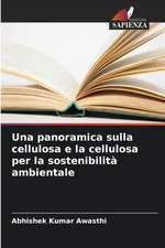 Una panoramica sulla cellulosa e la cellulosa per la sostenibilità ambientale