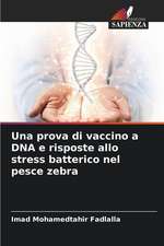 Una prova di vaccino a DNA e risposte allo stress batterico nel pesce zebra