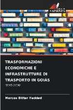 TRASFORMAZIONI ECONOMICHE E INFRASTRUTTURE DI TRASPORTO IN GOIÁS