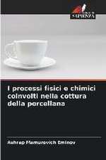 I processi fisici e chimici coinvolti nella cottura della porcellana