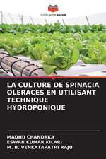 LA CULTURE DE SPINACIA OLERACES EN UTILISANT TECHNIQUE HYDROPONIQUE