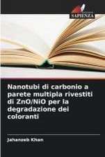 Nanotubi di carbonio a parete multipla rivestiti di ZnO/NiO per la degradazione dei coloranti