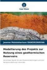 Modellierung des Projekts zur Nutzung eines geothermischen Reservoirs