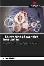 The process of technical innovation