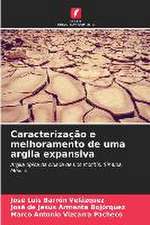 Caracterização e melhoramento de uma argila expansiva