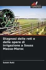 Diagnosi delle reti e delle opere di irrigazione a Souss Massa-Maroc