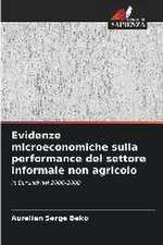 Evidenze microeconomiche sulla performance del settore informale non agricolo