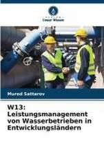 W13: Leistungsmanagement von Wasserbetrieben in Entwicklungsländern