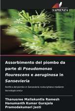 Assorbimento del piombo da parte di Pseudomonas flourescens e aeruginosa in Sansevieria