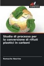 Studio di processo per la conversione di rifiuti plastici in carboni