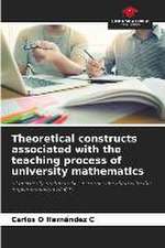 Theoretical constructs associated with the teaching process of university mathematics