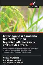 Embriogenesi somatica indiretta di riso Japonica attraverso la coltura di antere