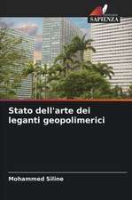 Stato dell'arte dei leganti geopolimerici