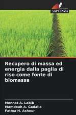 Recupero di massa ed energia dalla paglia di riso come fonte di biomassa