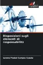 Disposizioni sugli elementi di responsabilità