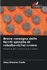 Breve rassegna delle ferriti spinello di cobalto-nichel-cromo