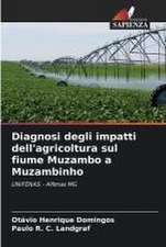 Diagnosi degli impatti dell'agricoltura sul fiume Muzambo a Muzambinho