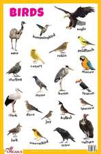 Birds Educational Chart