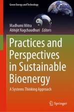 Practices and Perspectives in Sustainable Bioenergy: A Systems Thinking Approach