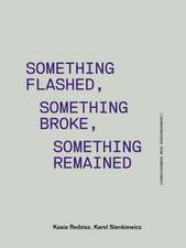 Something Flashed, Something Broke, Something Remained: Consciousness Neue Bieriemiennost