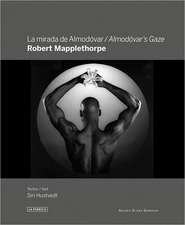 Robert Mapplethorpe: Almod&#xf3;var's Gaze