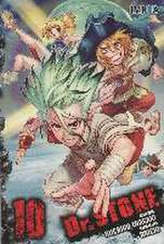 Dr Stone