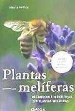 PLANTAS MELIFERAS