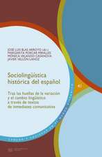 Sociolingüística histórica del español : tras las huellas de la variación y el cambio lingüístico a través de textos de inmediatez comunicativa