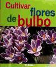 Cultivar flores de bulbo