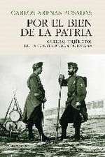 Por el bien de la patria : guerras y ejércitos en la construcción de España