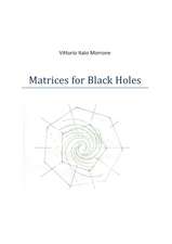 Matrices for Black Holes