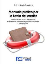 Manuale pratico per la tutela del credito