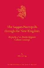 The Saqqara Necropolis through the New Kingdom