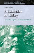 Privatization in Turkey: Power Bloc, Capital Accumulation and State