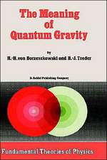 The Meaning of Quantum Gravity