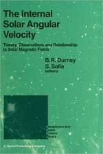 The Internal Solar Angular Velocity