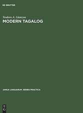 Modern Tagalog: A Functional-Structural Description