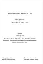 The International Practice of Law