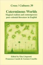 Coterminous Worlds: Magical realism and contemporary post-colonial literature in English