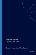 Wessen Strom?: Ansichten vom Rhein